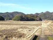 兵庫県篠山市新荘山林1900万円